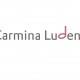 bestuur koor Carmina Ludens